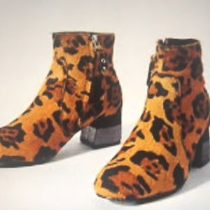 Meet your Posher, Donna